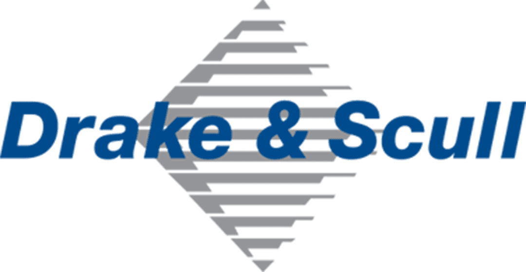 dsi logo dark 2020